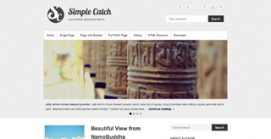 Simple Catch WordPress Popular Theme