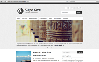 Simple Catch WordPress Popular Theme